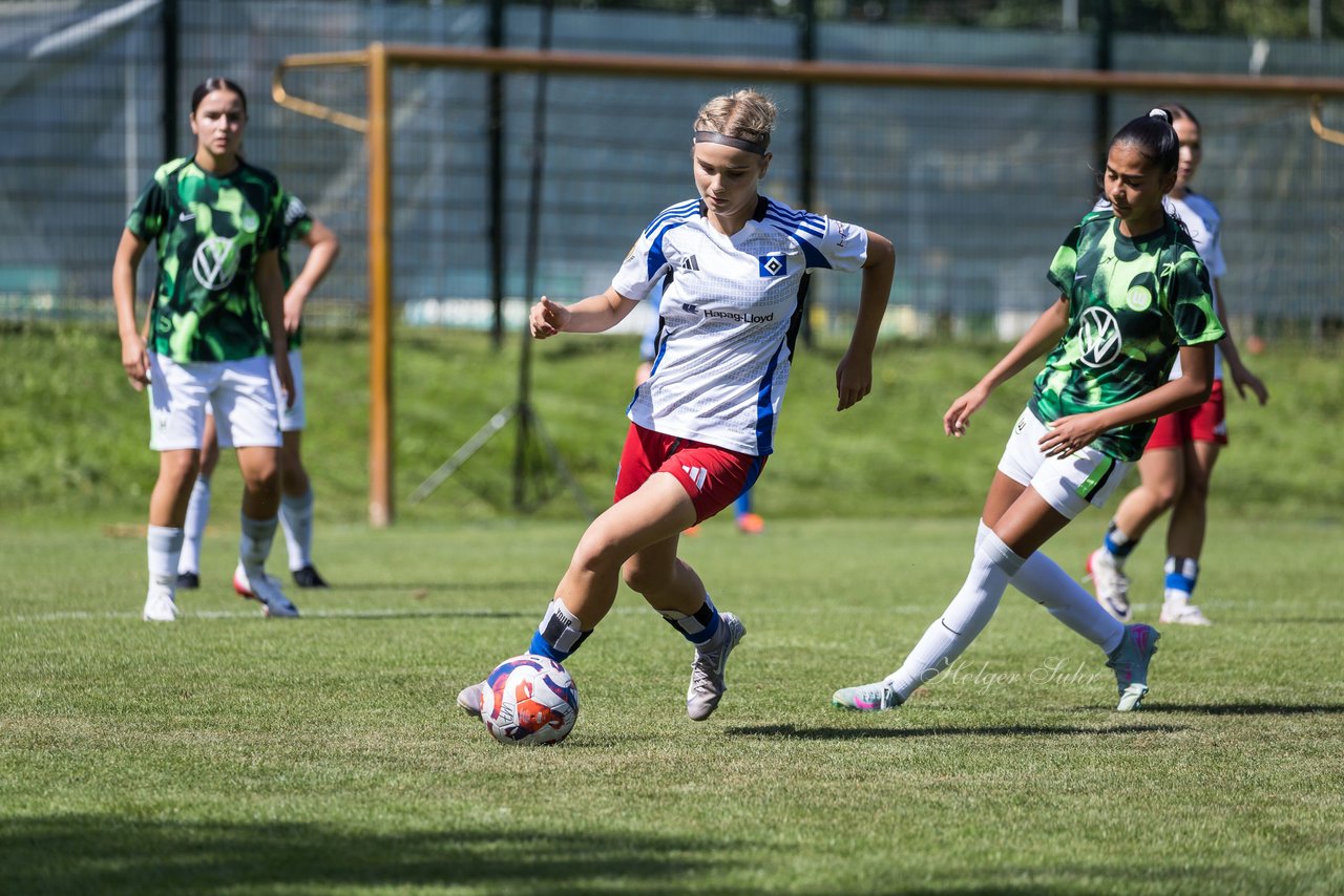 Bild 126 - wBJ Hamburger SV - VfL Wolfsburg : Ergebnis: 5:1